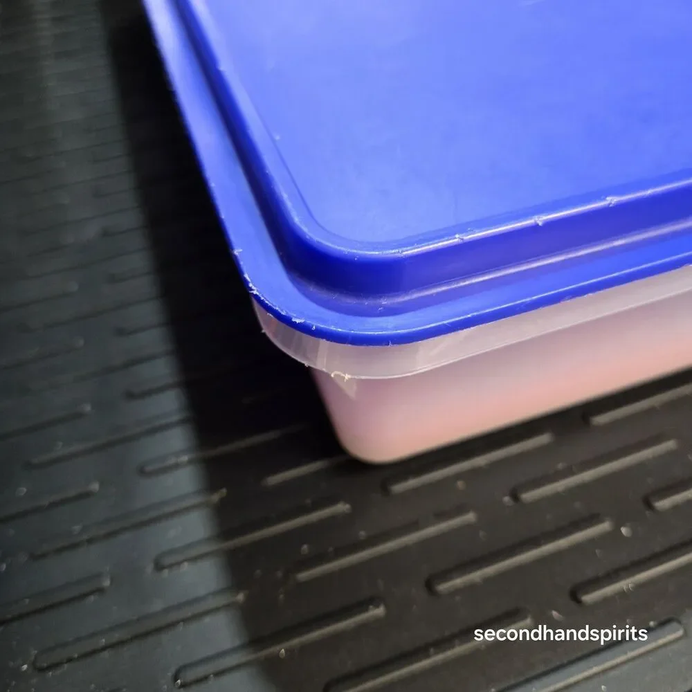 Tupperware Cold Cut Keeper  Rectangle Deviled Egg Trays Lid~RWB Patriotic 13